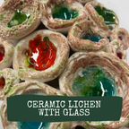 Ceramic Lichen and Glass Picture image 0