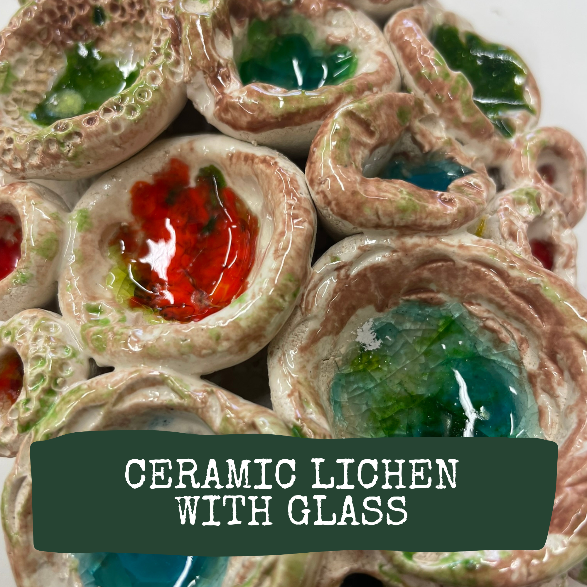 Ceramic Lichen and Glass Picture image 0
