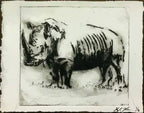 Dry Point Etching image 2