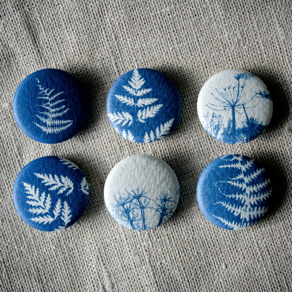 Cyanotype Printing image 2