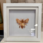 Framed Embossed Copper Bee or Butterfly