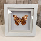 Framed Embossed Copper Bee or Butterfly