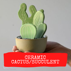 Ceramic Cactus/Succulent image 0