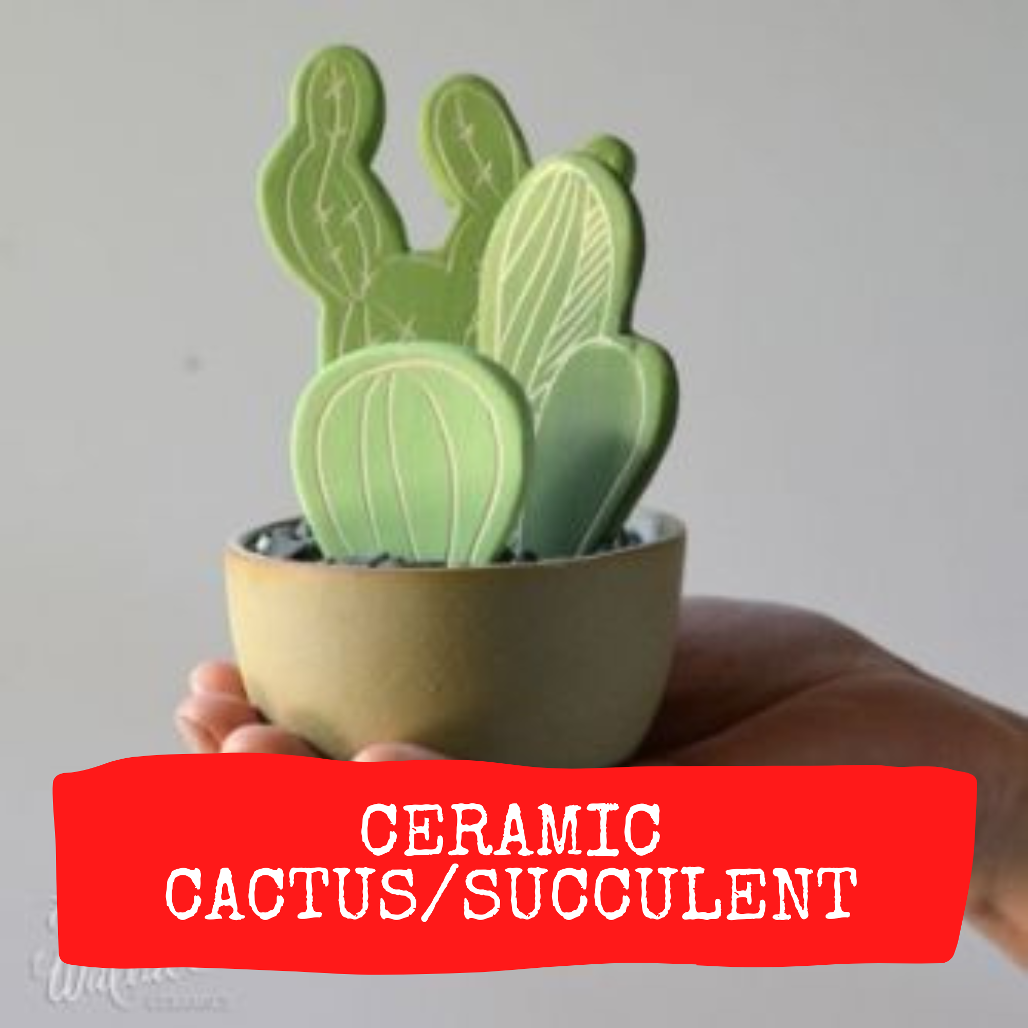 Ceramic Cactus/Succulent image 0