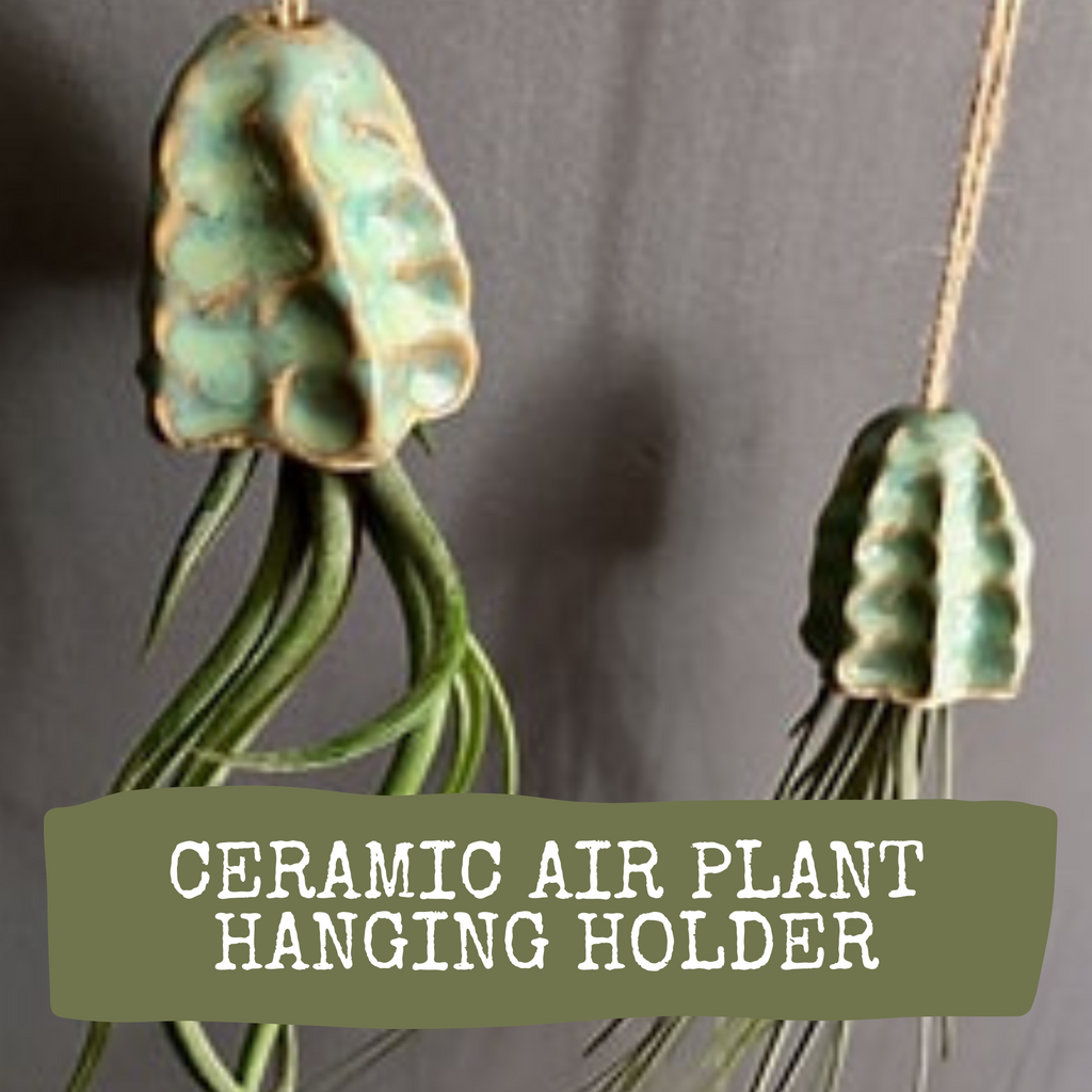 Ceramic Air Plant Hanging Vase image 0