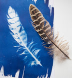 Cyanotype Printing image 1